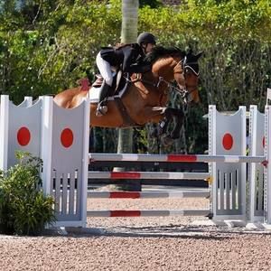 Meet your Posher, Masha